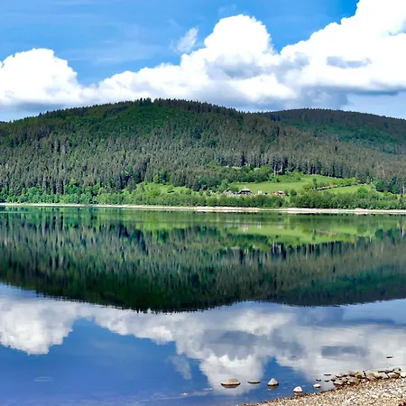 App 1321 - Schwarzwaelder Kirsch - Mit Indoorpool, * Schluchsee