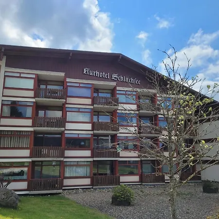 App 1321 - Schwarzwaelder Kirsch - Mit Indoorpool, * Schluchsee