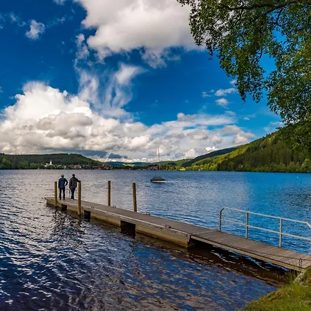 App 1321 - Schwarzwaelder Kirsch - Mit Indoorpool, * Schluchsee