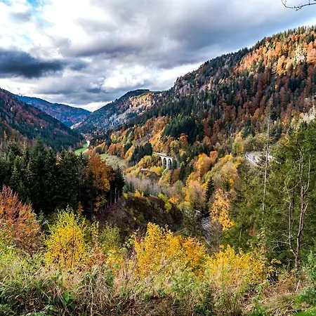 App 1321 - Schwarzwaelder Kirsch - Mit Indoorpool, Appartamento Schluchsee